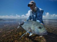 Fly fishing picture