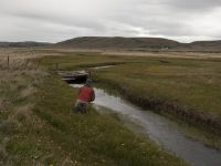 Foto de pesca con mosca