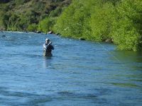 Foto de pesca con mosca