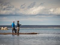 Fly fishing picture