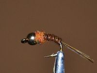 Bead Head Pheasant Tail (16)