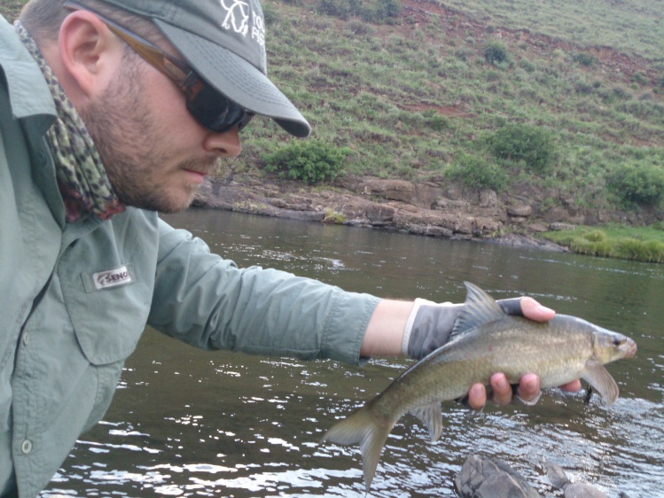 Unexpected catch in Lesotho, sight fished Orange River Mudfish