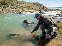 Fly fishing picture