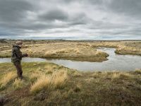 Fly fishing picture