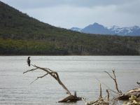 Foto de pesca con mosca