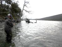 Foto de pesca con mosca