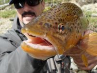 Foto de pesca con mosca