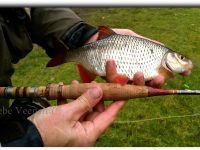 Fly fishing picture