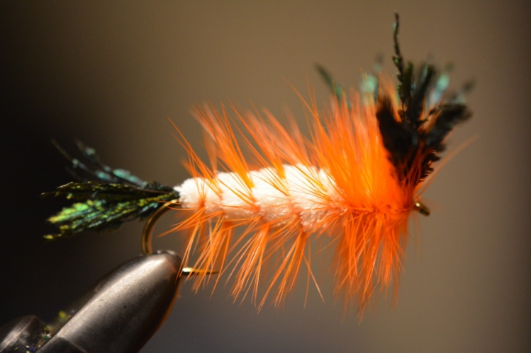 Killer Whisker
Peacock with white body
and White hackle