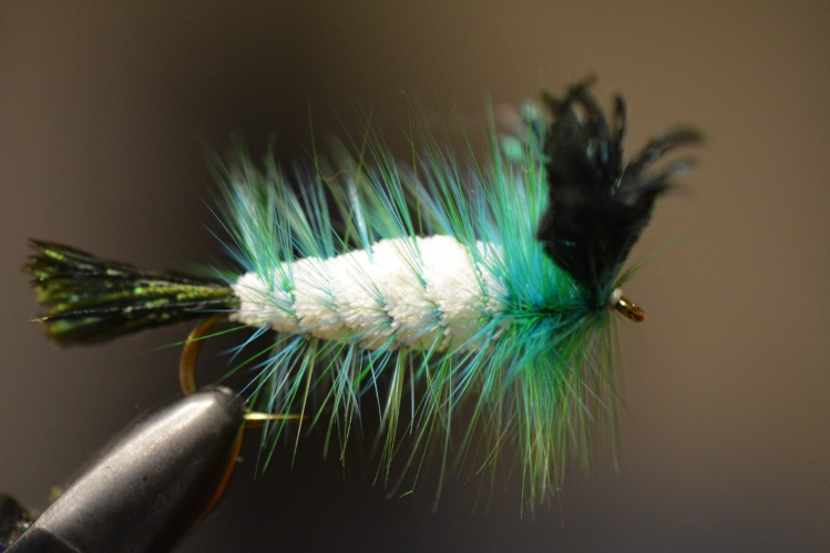 Killer Whisker
Peacock with white body
and green and blue hackle