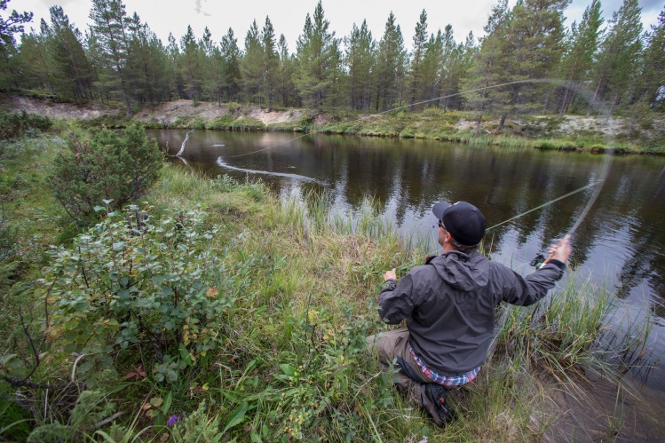 Anders Dahl Eriksen striking when a 3 lbs Grayling takes a size 20 mayfly in Norway. Picture by Matt Hayes