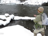 Chris Willich feeds line towards feeding fish on the Big Wood River in Ketchum, Idaho. Photo Bryan Huskey