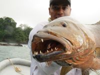 Foto de pesca con mosca