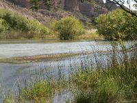 Como se ve, el río está con bastante agua.