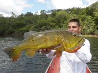 Foto de pesca con mosca