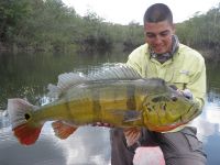 Foto de pesca con mosca