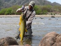 Fly fishing picture