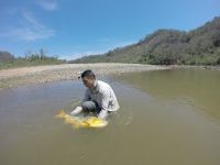 Fly fishing picture