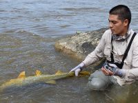 Fly fishing picture