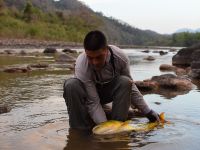 Fly fishing picture