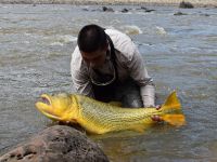 Fly fishing picture