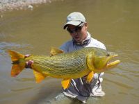 Fly fishing picture