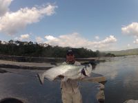 Foto de pesca con mosca