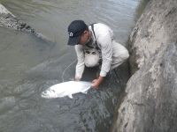 Foto de pesca con mosca