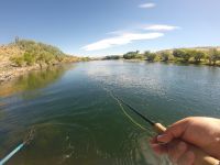 Foto de pesca con mosca