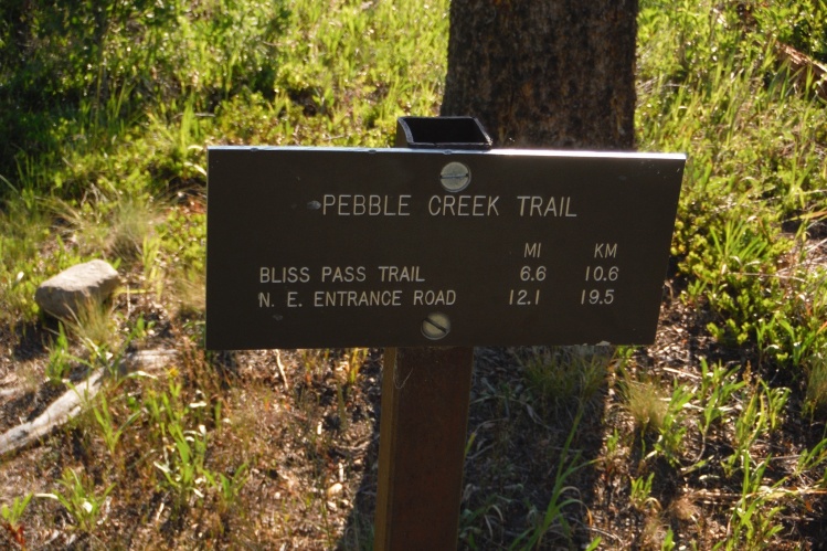Pebble Creek Yellowstone National Park