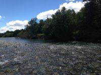 Foto de pesca con mosca