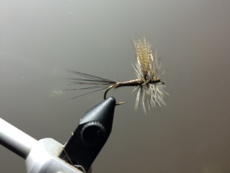 Flies - Fly fishing Photos | Fly dreamers