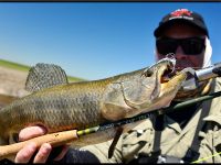 Foto de pesca con mosca