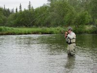 Bent Fly for on the Nushagak Drainage