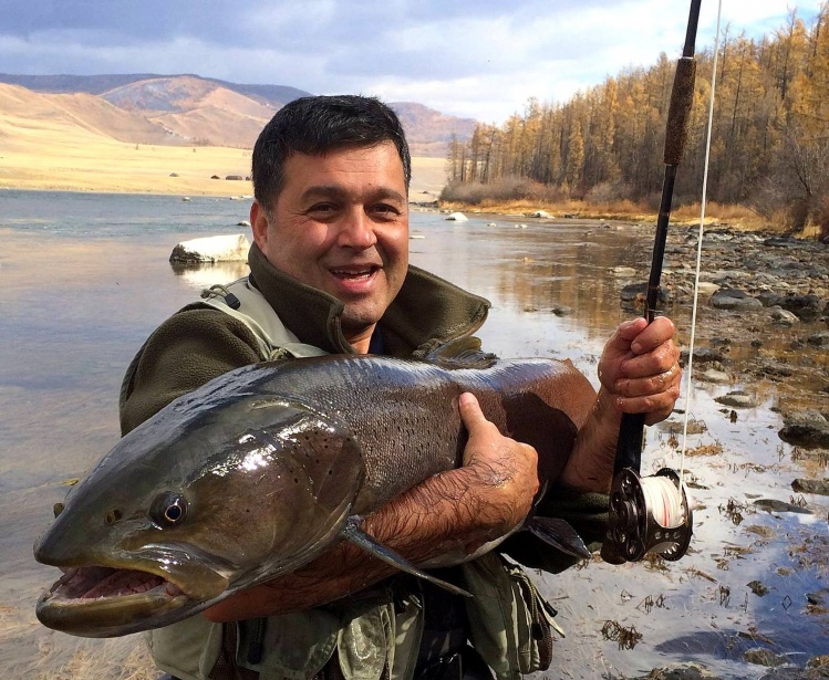 Fine Taimen on fly in 2014 for "Blaf", an old-time veteran, fishing Mongolia with us for many years ... 