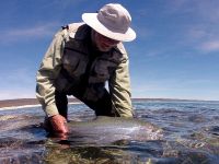 Foto de pesca con mosca