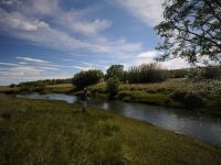 Fly fishing picture