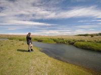 Fly fishing picture