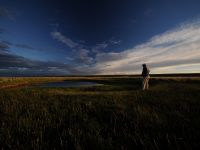 Fly fishing picture