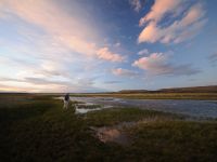 Fly fishing picture