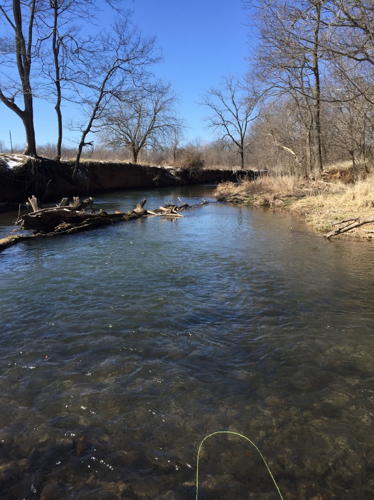 Beautiful day to be out. Capps Creek, Southwest Missouri. 