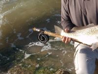 Foto de pesca con mosca