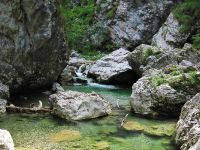 Iška river ... Promising pool ahead 