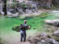 Iška river ...