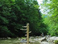 Iška river ... Statue of nature and fly fisherman