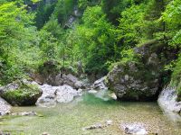 Iška river ...