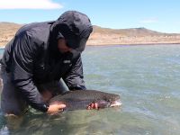 Foto de pesca con mosca