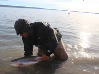 Foto de pesca con mosca