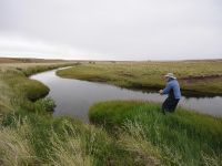 Fly fishing picture