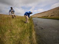 Fly fishing picture